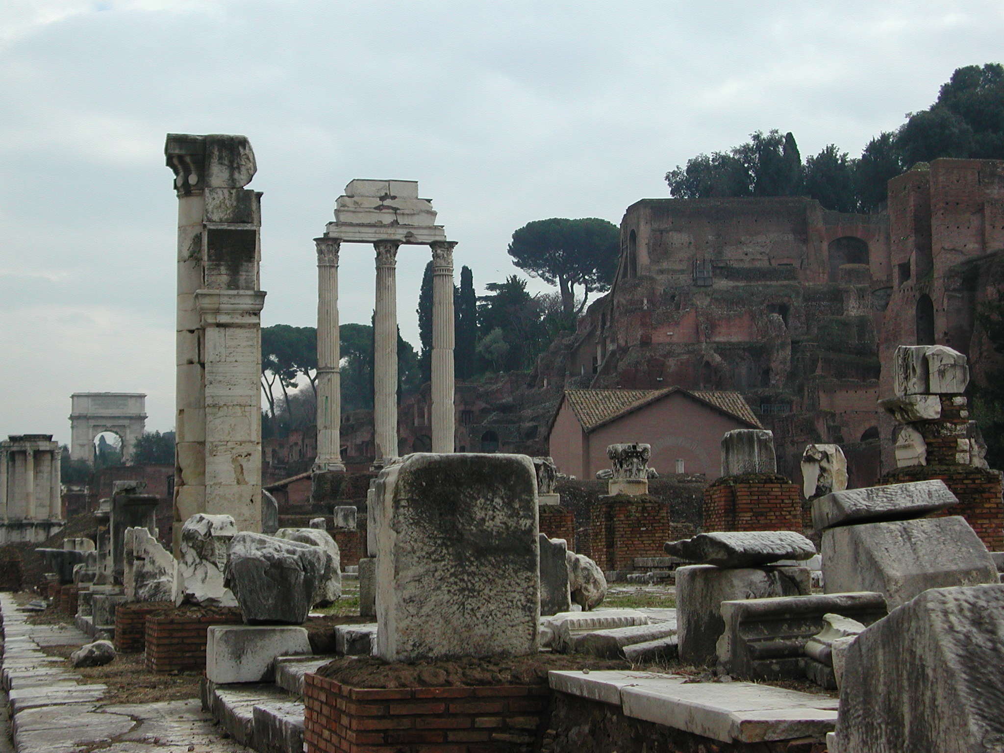 The Forum